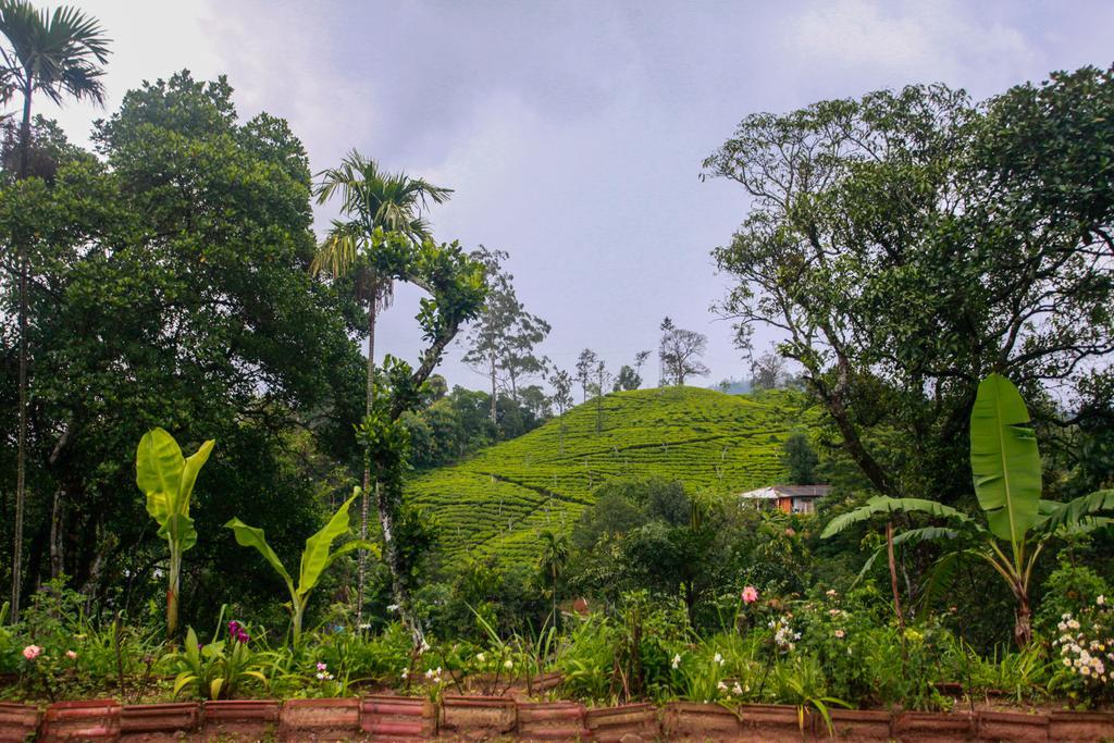 Ella Nature Resort Exterior foto
