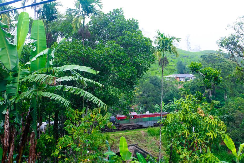 Ella Nature Resort Exterior foto